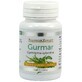 Gesundheitsmittel Gurmar Gymnema sylvestre 60 Kapseln