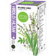 Fyto Pharma Mélange d'herbes pour le dos et la poitrine, 20 x 1,5 g