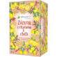 Megafyt Ginger with lemon and chilli sachet 20 x 2 g