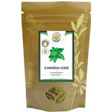Salvia Paradise Gymnema frunze de pădure sol 100 g