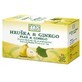 Fyto Pharma Pear and ginkgo fruit tea in bags with funnel 20 x 2 g