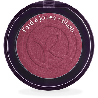 Yves Rocher Rose Hydrangea Ultra Pigmented Blush 2.7 g