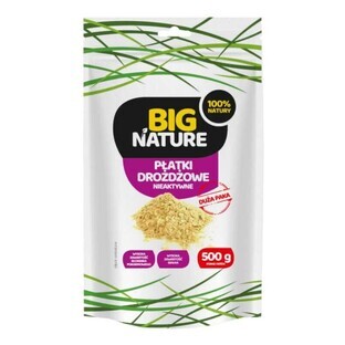 Inactieve gistvlokken 500g Big Nature