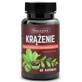 Skoczylas Kreislauf Ruscus, Diosmin, Kastanie 60 Kapseln