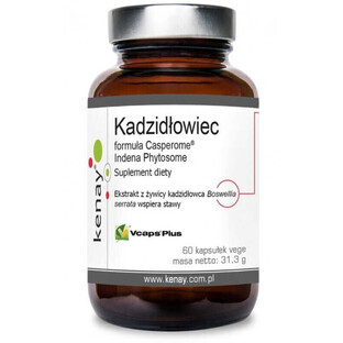 Fórmula incienso Casperome® Indena Fitosom 60 cápsulas Kenay