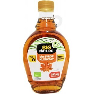Sirope de arce ecológico 250 ml Big Nature