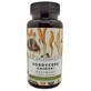 Cordyceps china 50g Artisanal Sea Buckthorn și prieteni