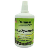 Dermesa Succo di Vives 100 ml