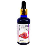 Extracto de micropartículas de hongo reishi 50ml Organis