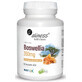 Boswellia 350mg (70%/10%) 100 gélules Aliness
