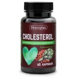Skoczylas Colesterol 60 capsule