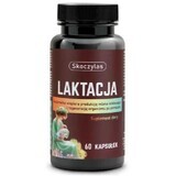 Skoczylas Lactation pour les femmes qui allaitent 60 gélules