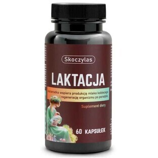 Skoczylas Lactation pour les femmes qui allaitent 60 gélules