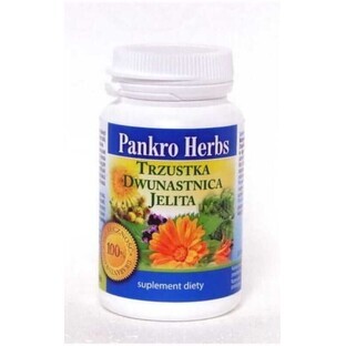 Erbe Pankro - pancreas, duodeno, intestino 60 capsule Erbe Inwent