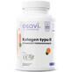 Osavi Collagene di tipo II (UC-II) con acido ialuronico + rosa selvatica 60 capsule