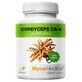 Cordyceps CS-4 (min 30 % polysaccharide) 500mg 90 capsules, MycoMedica