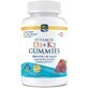 Nordic Naturals, Vitamine D3+K2 Gummies 60 gels goût grenade