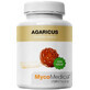Agaricus 30% polisaccaridi 90 capsule MycoMedica
