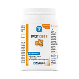 Ergycebe Multivitaminico Nutergia (sinergia di 12 vitamine, zinco e cromo) 90 capsule