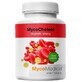 MycoCholest 120 gélules MycoMedica