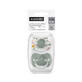 Silicone pacifier SX Pro A Walk In The Park, +18 months, Masliniu, 2 pieces, Suavinex