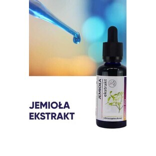 Mistel Mikropartikel-Extrakt 50ml Organis
