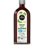 LEROS SIRUP GOOD DIGESTION 1×250 ml, sirop pour favoriser la digestion