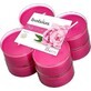 Bolsius Aromatic 2.0 Tea Maxi 8st Peony, geurkaarsen 1×8 st, geurkaarsen