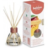 Bolsius Aromatic 2.0 Diffuseur d'arômes 45 ml Magnolia 1×45 ml, diffuseur d'arômes