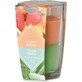 Emocio Bouteille en verre 76×118 mm Bougie parfumée avec deux tons de fruits aromatiques et Aloe Vera 1×1 pc, bougie parfumée