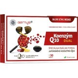 Barny's Co-enzym Q10 dual 60 mg 1×30 cps, voedingssupplement