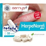 Barny's HerpeNorm plus 1×10 cps, voedingssupplement