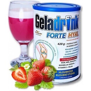 GELADRINK FORTE HYAL 420G FRAGOLE 1×