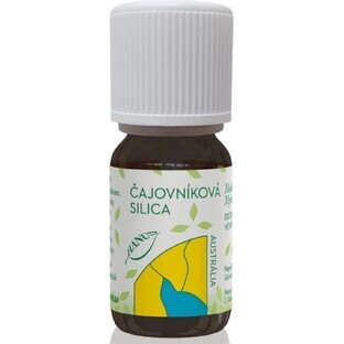 HANUS SILICA TEA TUB 1×10 ml, huile