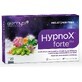 Barny's Hypnox FORTE plus 1×20 tbl, voedingssupplement