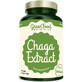 GreenFood Nutrition Chaga Extract 1×90 cps, voedingssupplement