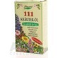 SPRING 111 KRÄUTER-ÖL 1×100 ml, Kräuteröl