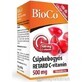 BioCo Vitamine C RETARD 500 mg met rozenbottelvrucht 1×100tbl, vitamine C