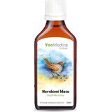Yaomedica 022 Stimmwiederherstellung 50ml 1×50 ml