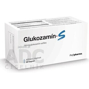 Profipharma Glucosamine S 1×60 cps, nutrition des articulations