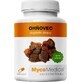 Mycomedica Ohnovec Ohnovec 30% Vegan 400mg 120cps 1×120 cps