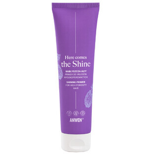 Anwen Here Comes The Shine, glansprimer voor zeer poreus haar, 100 ml