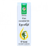 Huile essentielle d'eucalyptus, 5 ml, Divine Star
