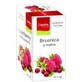 Apotheke Premier Selection Cranberry and Raspberry Tea Bags 20 x 2 g