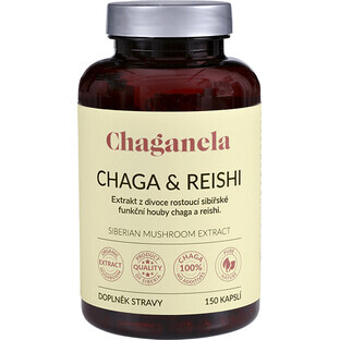 Chaganela Chaga Extrakt mit Reishi 150 Kapseln