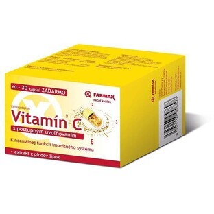 Farmax Vitamin C slow-release 500 mg + rosehip extract 90 capsules