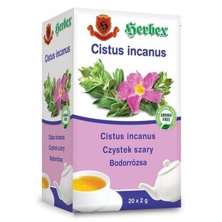 Herbex Cistus incanus (rose sauvage) 20 x 2 g