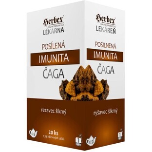 Herbex Immunitätsverstärkter Chaga-Tee 20 x 3 g
