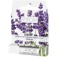 Ryor Antiacne roll-on with iris 5 ml