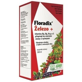 Salus Floradix IJzer - vloeibaar 500 ml